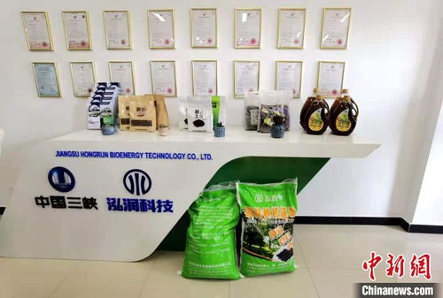 科技賦能長江生態修復 岸上綠意盎然，水中碧波重現